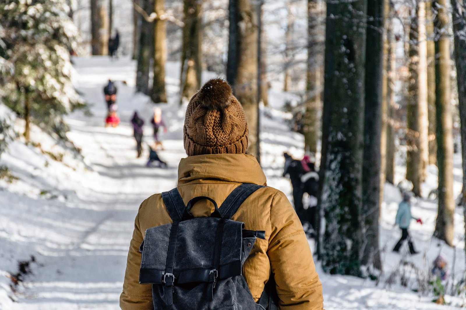 Caminhada por floresta coberta de neve