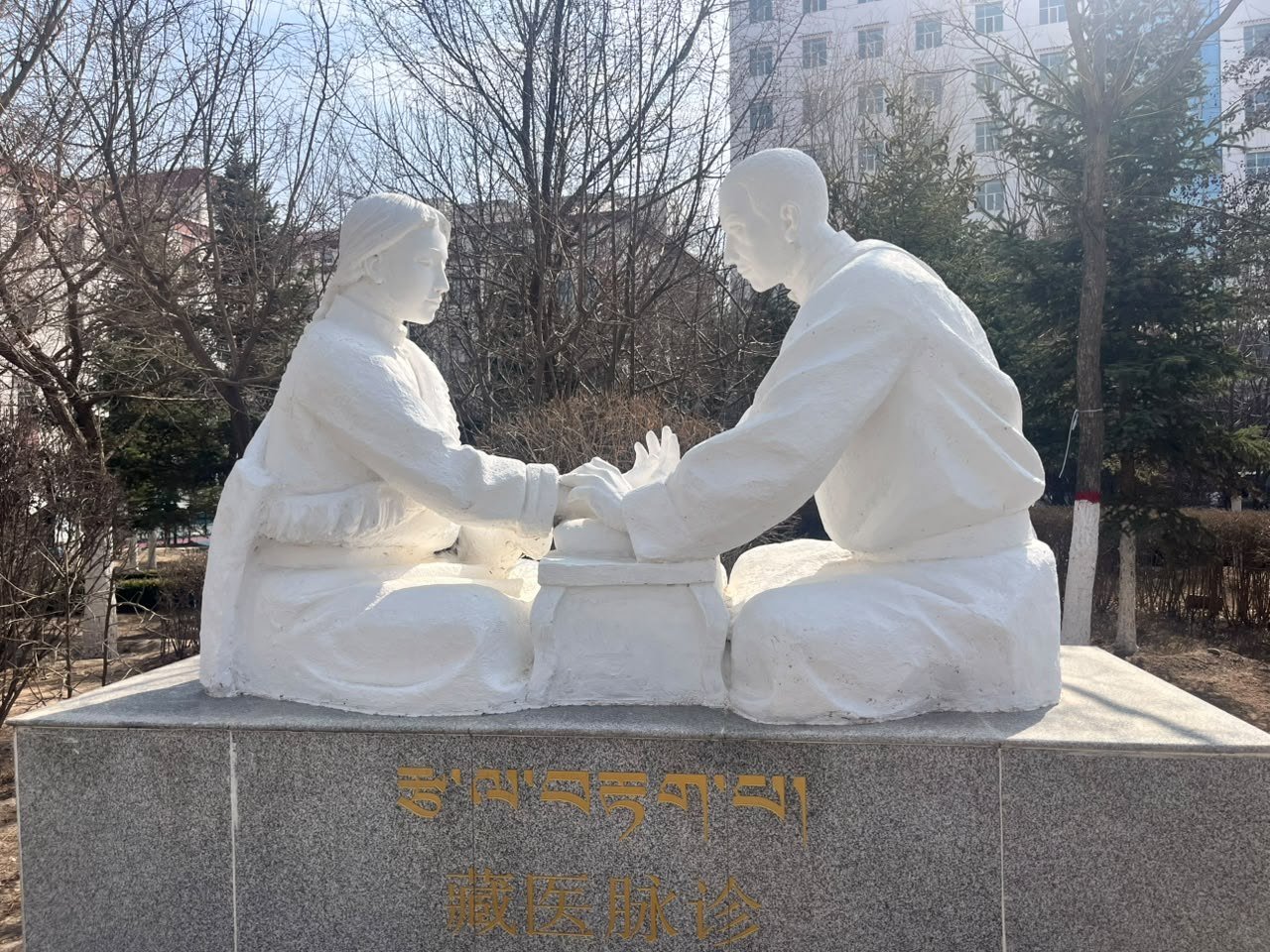 Escultura de um diagnóstico de pulso da medicina tibetana, duas pessoas sentadas frente a frente